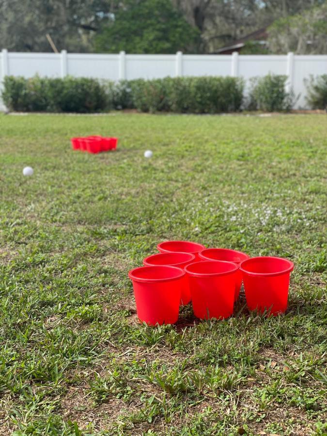 Plush Sheets, Games!, Huge Backyard, Massage Chair Tampa Eksteriør bilde